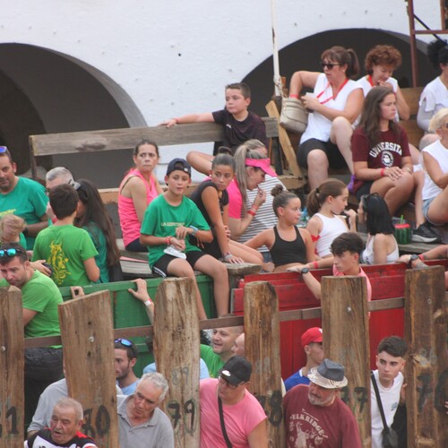 toros 16 agosto 2025 (47)